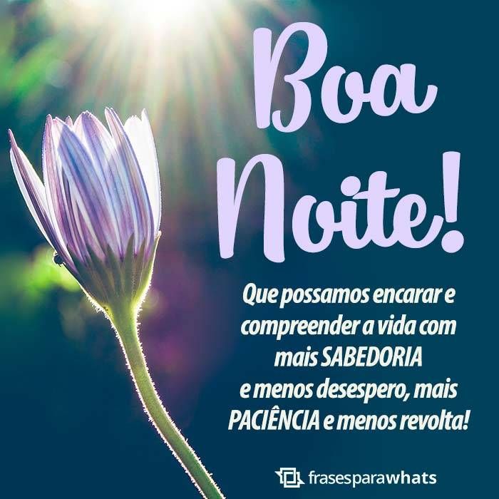 Boa Noite com flor!