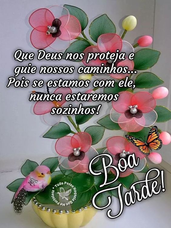 Boa tarde Deus nos proteja