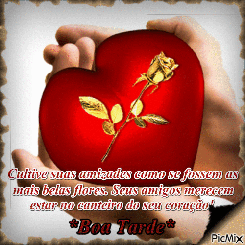 Cultive as mais belas flores