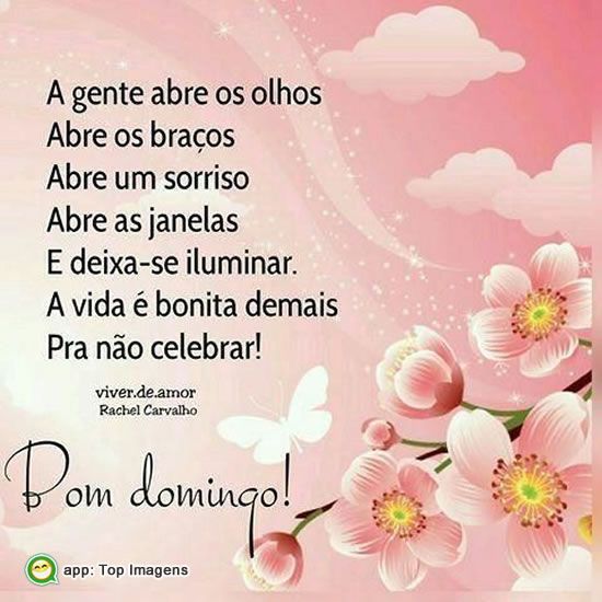 A vida é bonita demais