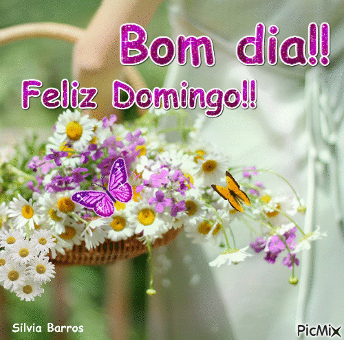 Bom dia, com flores e borboletas