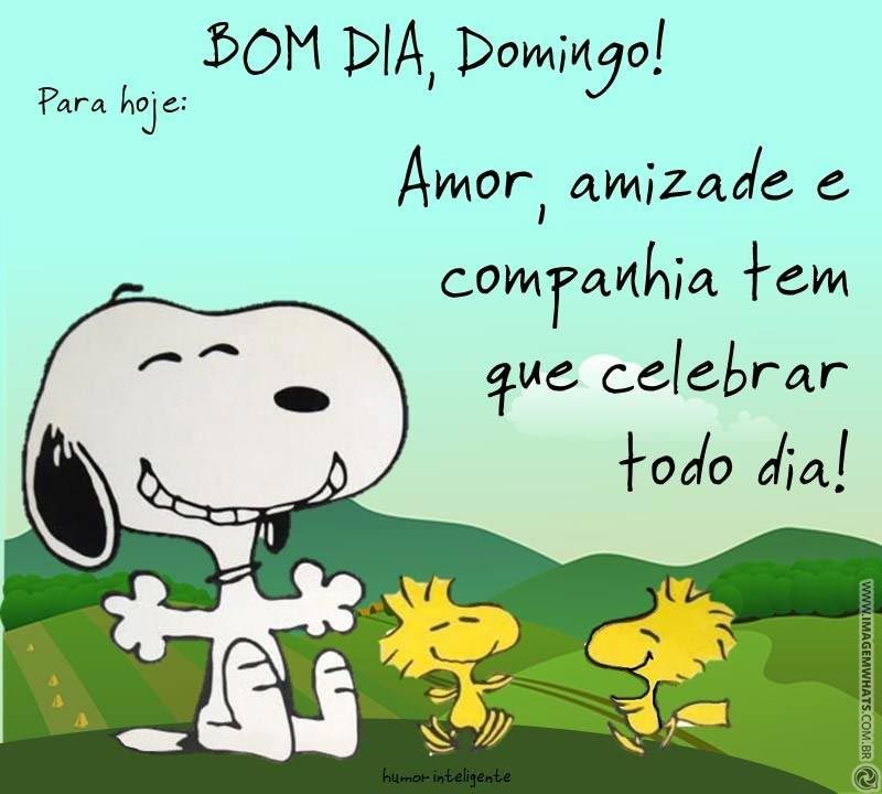 Bom dia, domingo!