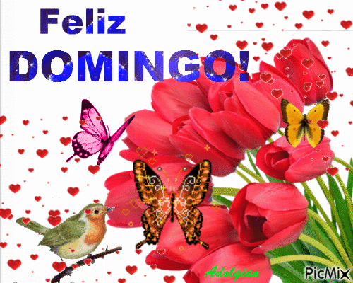 Gif de feliz domingo com borboletas