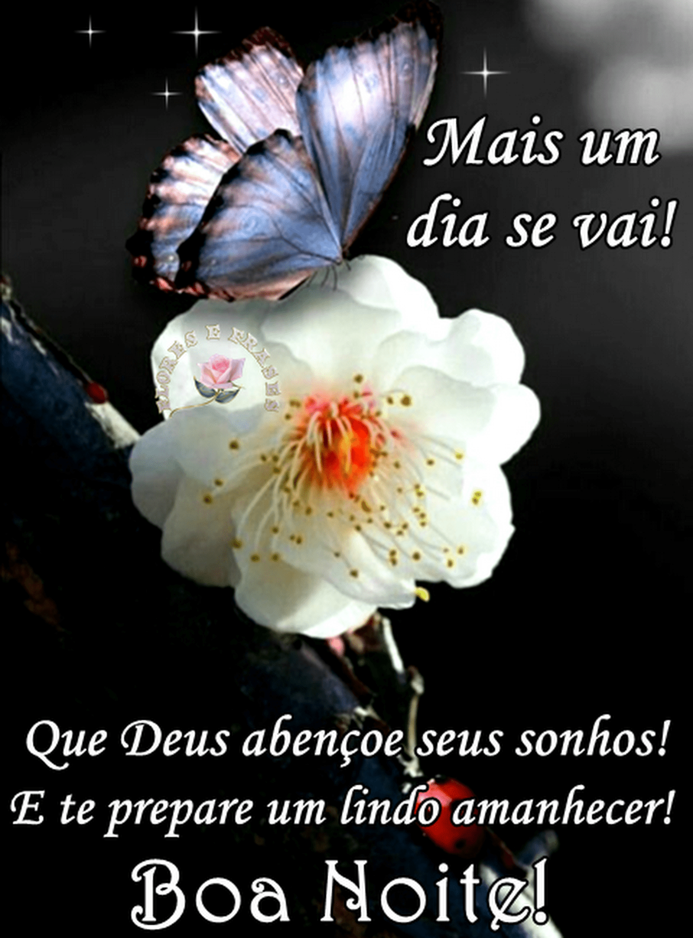 Mais um dia que se vai