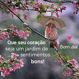 O seu coração vai ser um jardim! bom dia