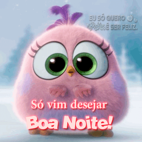 Só vim desejar boa noite