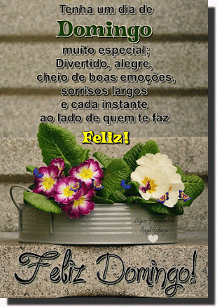 Tenha um domingo especial