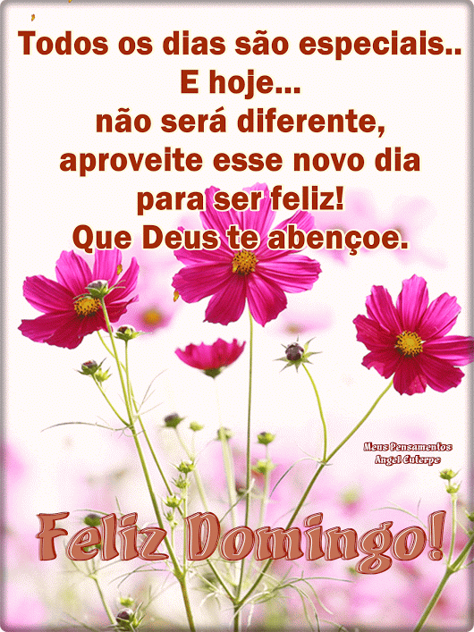 Todos os dias são especiais