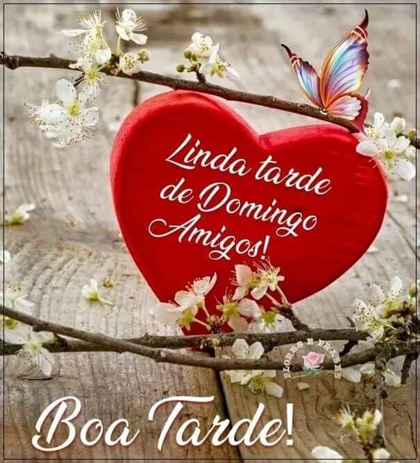 Boa tarde de domingo para amigos especiais!