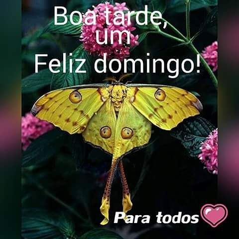 Boa tarde um feliz domingo para todos!
