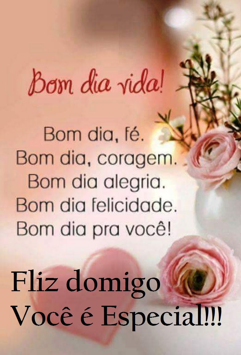 Bom dia feliz domingo com tudo de bom!