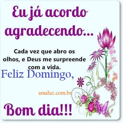 Feliz domingo querido amigo!