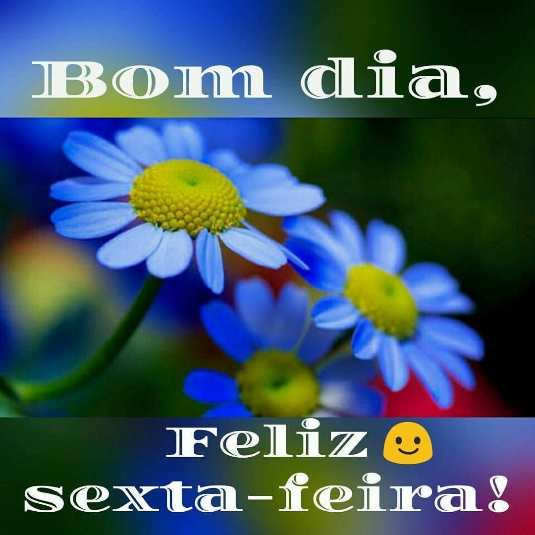 Feliz sexta feira com flores maravilhosas para você!
