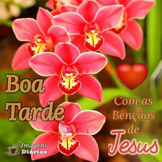 Boa tarde! para que fechamos o dia com chave de ouro, vamos enviar uma mensagem de carinho a todos os amigos!!!