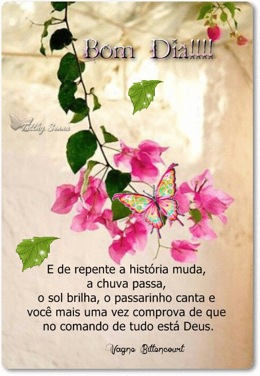 Bom dia com Deus no comando