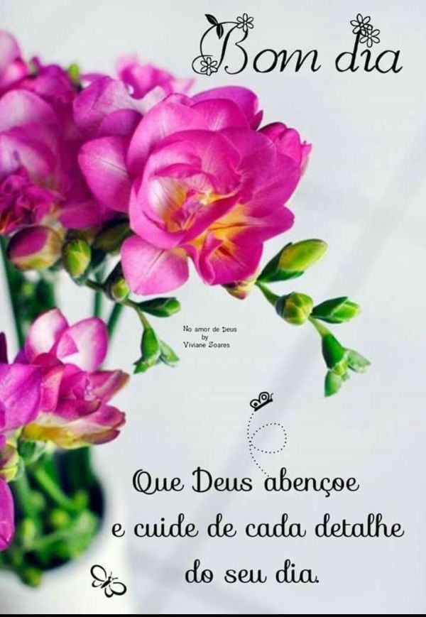 Bom dia, Deus cuide de cada detalhe