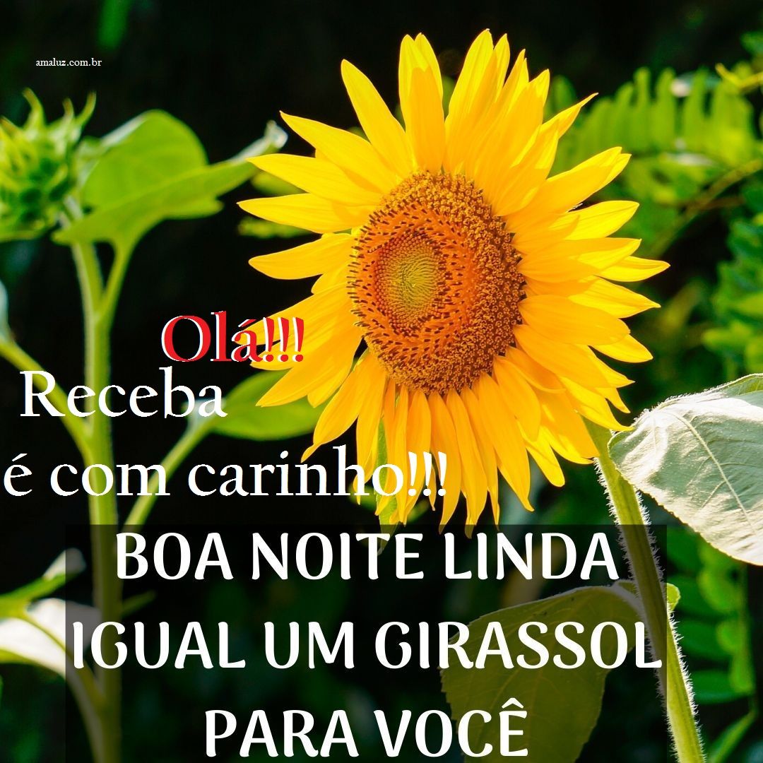 Uma linda noite carinhosa eu venho te desejar