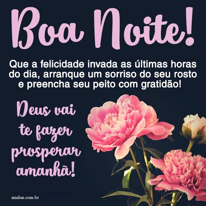 Que a felicidade invada o seu sono e te traga uma linda noite de sono