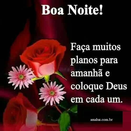 Boa noite! uma linda imagem com flor e luzes