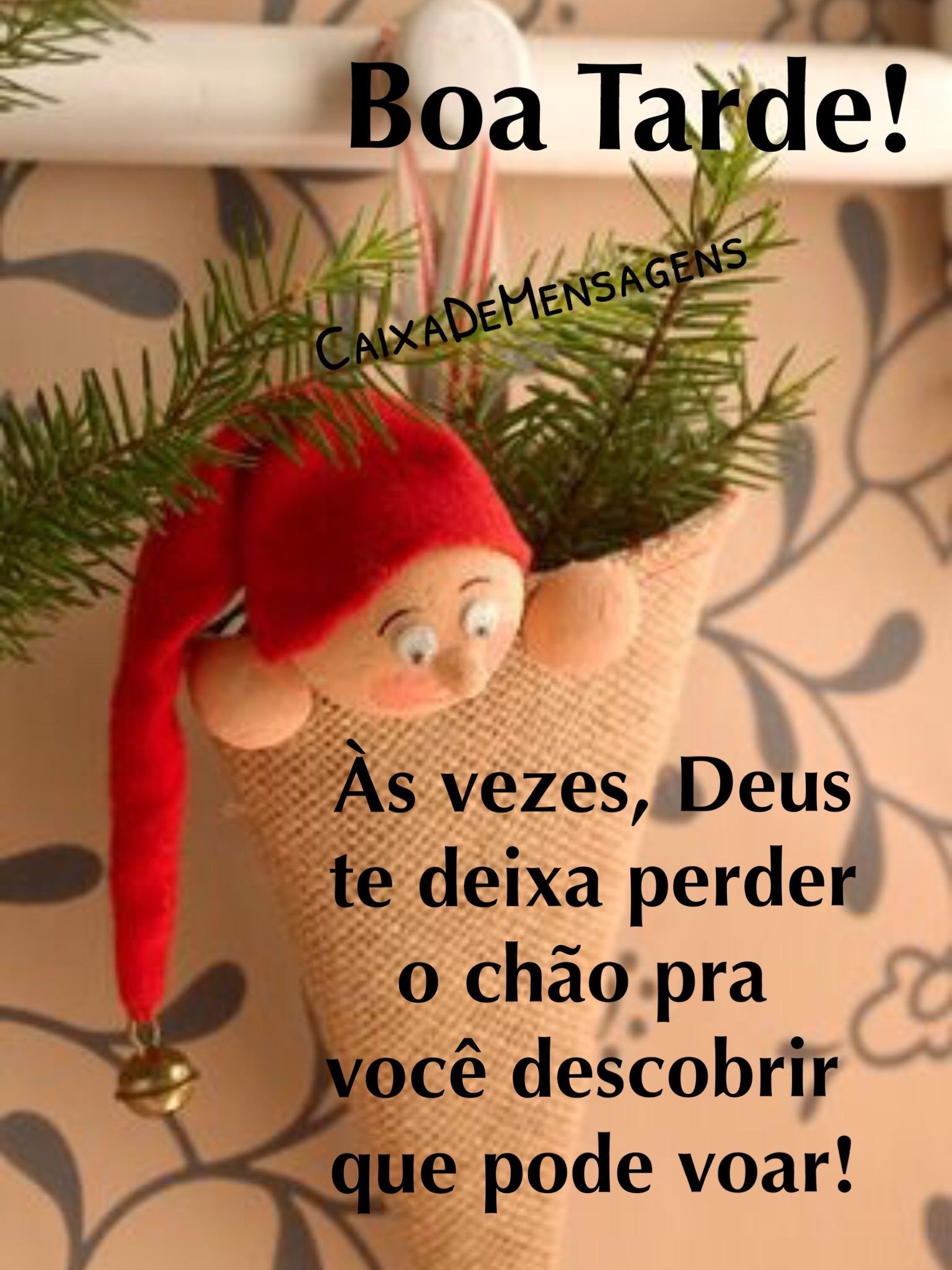 Boa tarde! Voa atras de seus sonhos e conquista todos