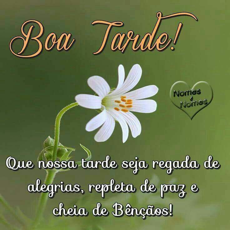 Boa tarde regada de alegria