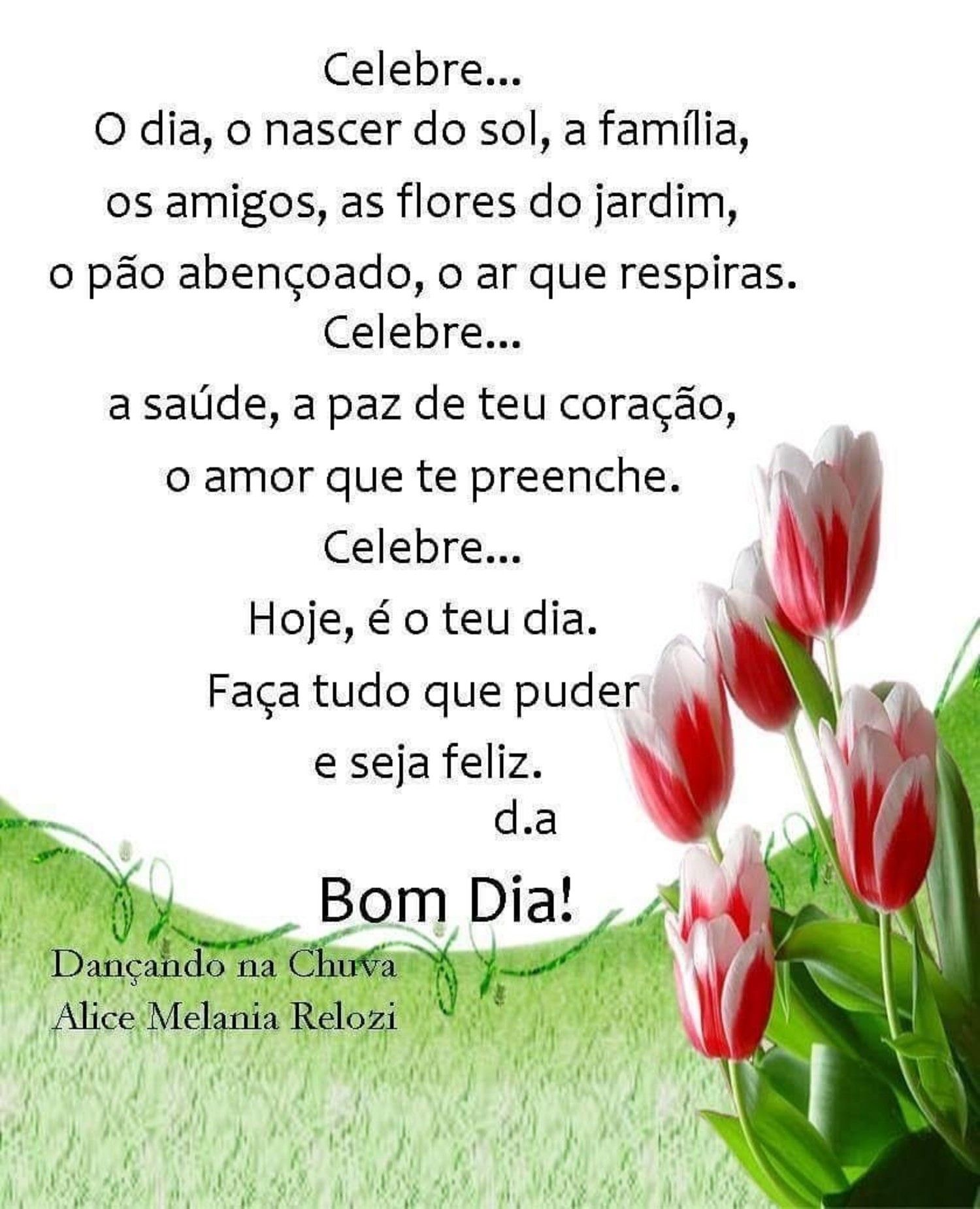Bom dia, celebre á vida