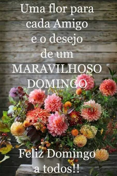 Feliz domingo! Uma flor para cada amigo