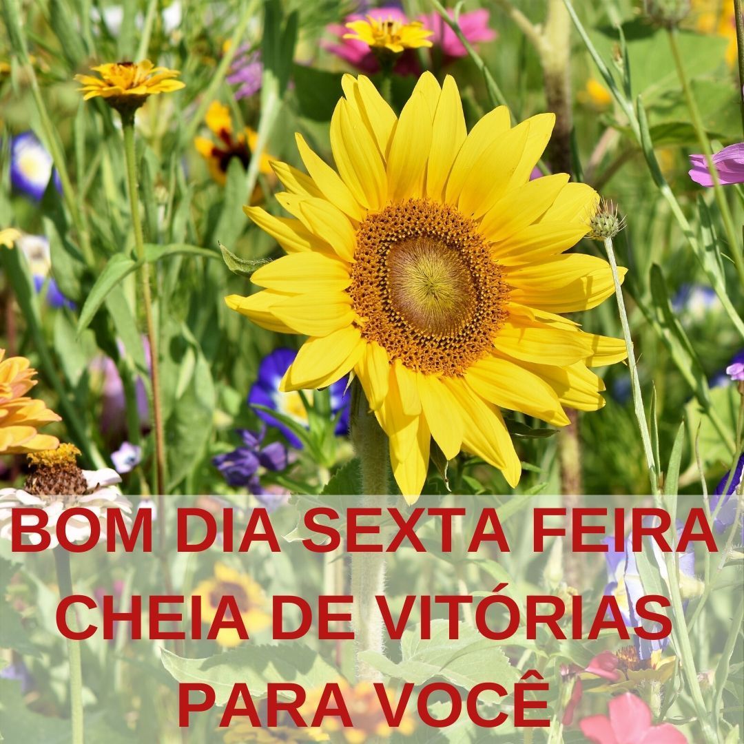 Feliz sexta feira e um final de semana espetacular de felicidades