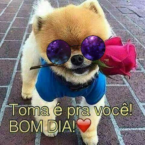 Vim te desejar um Bom dia!