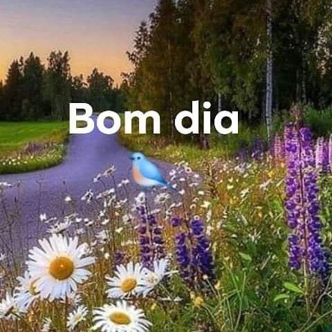 Bom dia e paz em sua vida.