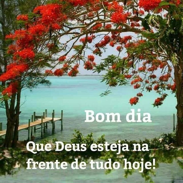 Bom dia! Deus está no controle da sua vida!