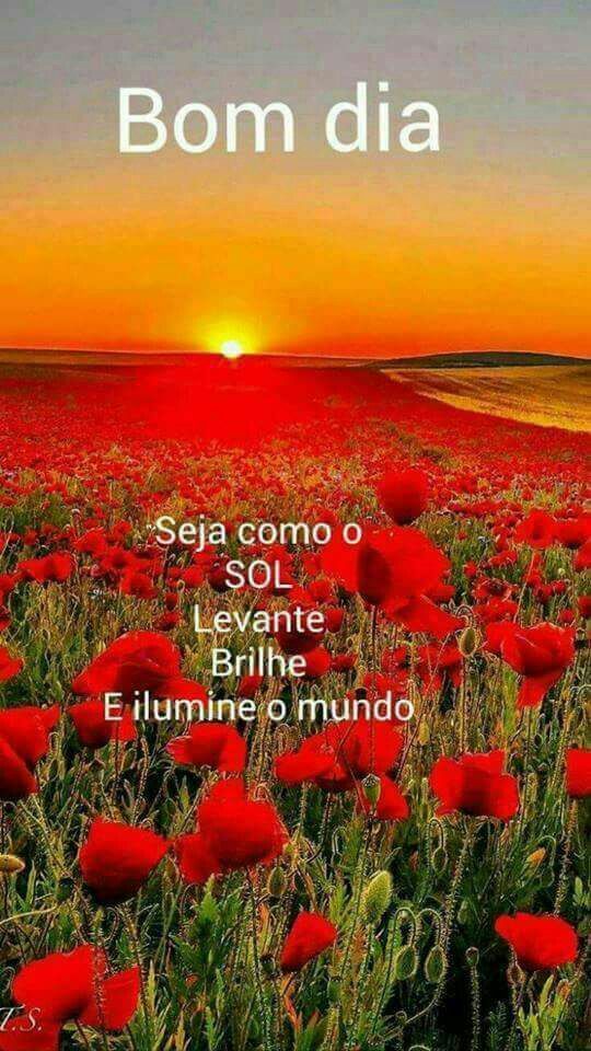 Bom dia! Que o seu dia seja iluminado como o sol!