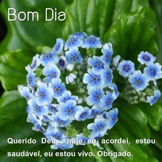 Bom dia! O simples fato de acordar, já é uma vitória.