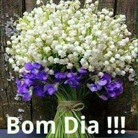 Bom dia! Muitas flores, muita benção!