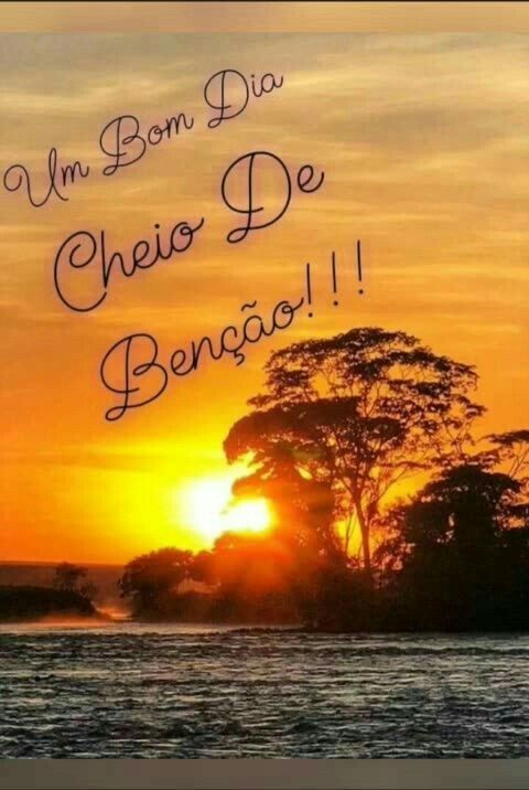 Bom dia! Que seu dia seja brilhante como o sol.