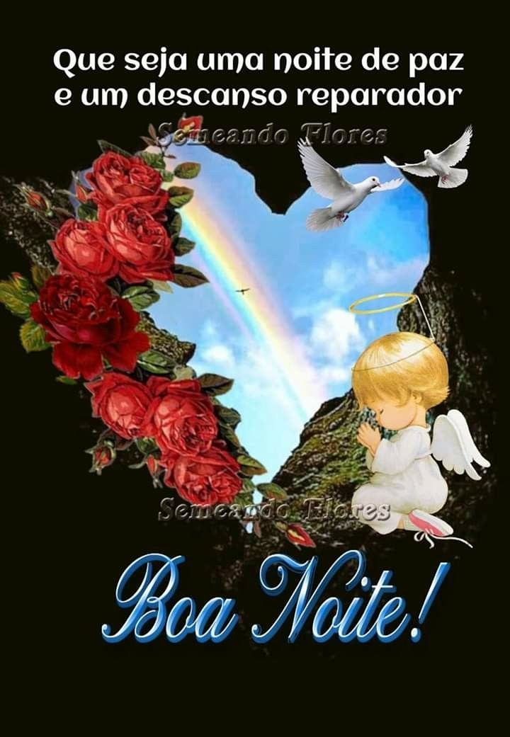 Boa noite! atenha uma noite de muita paz!