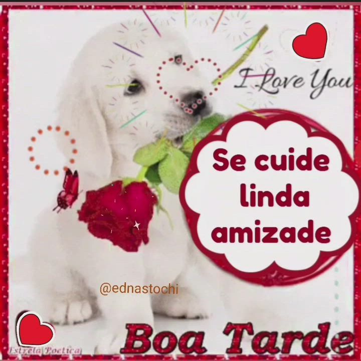 Uma ótima tarde a todos!