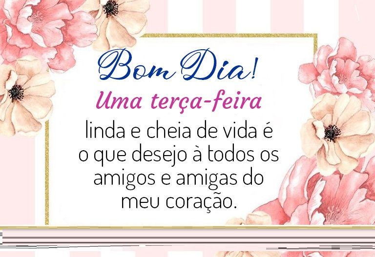 Bom dia terça-feira linda e cheia de vida