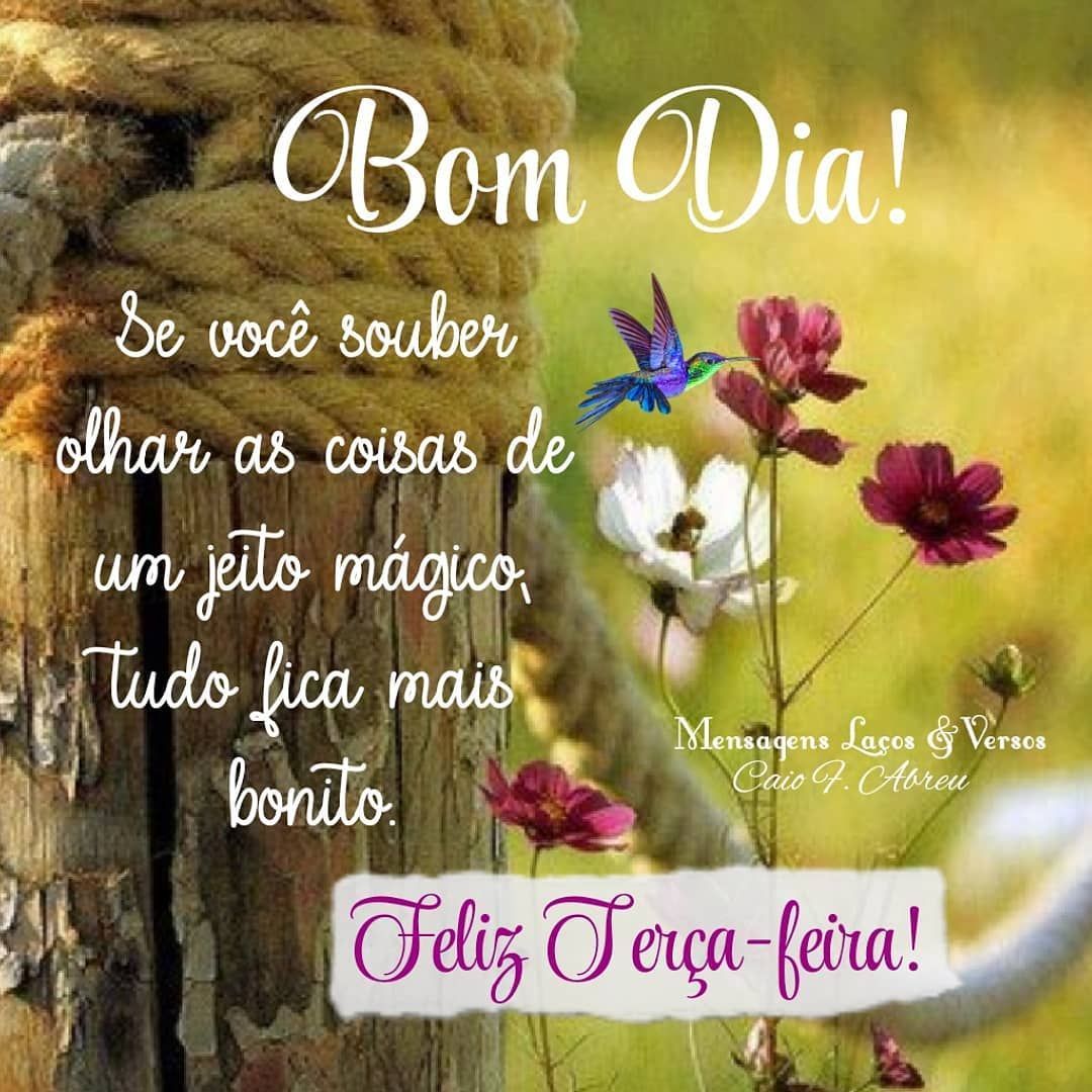 Bom dia e feliz terça-feira, Se você souber olhar as coisas de um jeito mágico