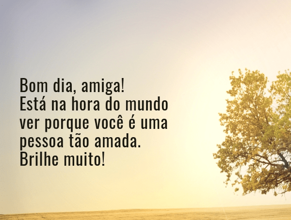 Bom dia amiga, brilhe muito