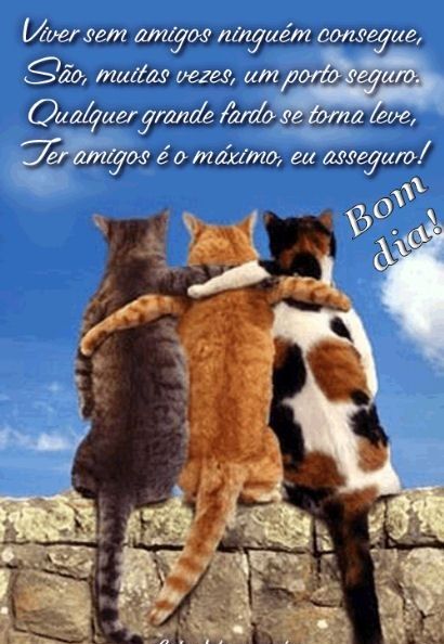 Bom dia, ter amigos é o máximo