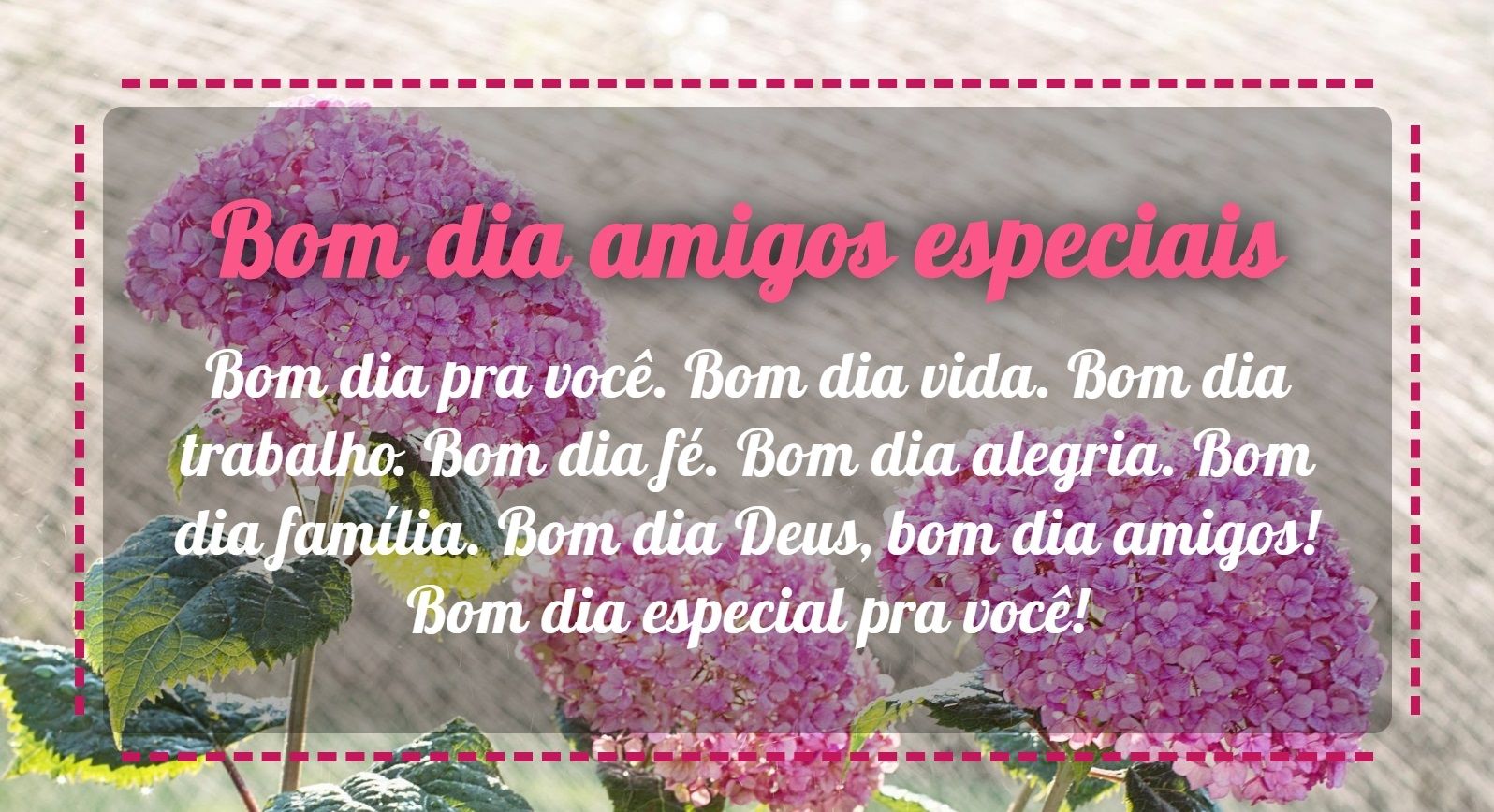 Bom dia amigos especiais