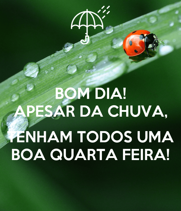 Bom dia feliz quarta feira frase para ter uma ótima manhã