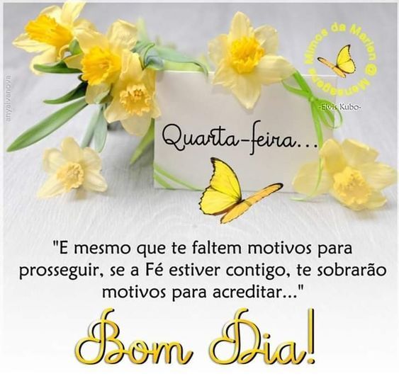 Bom dia quarta-feira, e mesmo que te faltem motivos para prosseguir