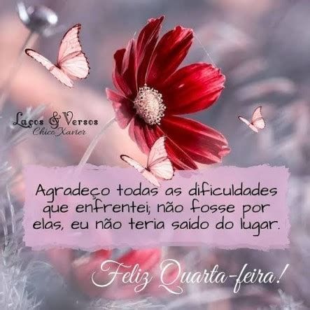 Feliz quarta-feira com flores e borboletas