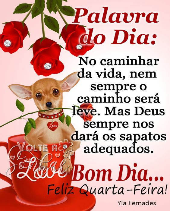 Bom dia quarta-feira, no caminhar da vida