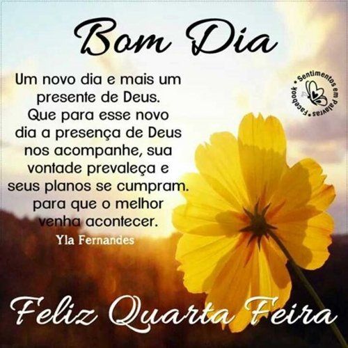 Feliz quarta-feira com uma flor amarela