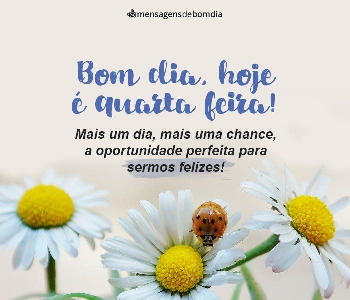 Bom dia, hoje é quarta feira perfeita para sermos felizes