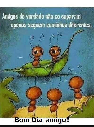 Amigos de verdade não se separam, bom dia amigo!