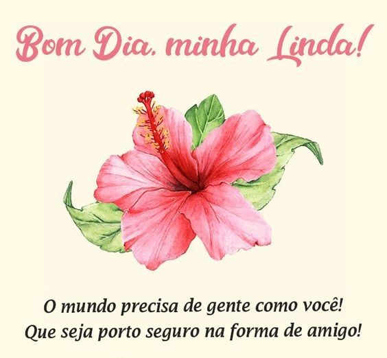 Bom dia minha linda amiga